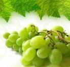 Dieta cu struguri - Strugurii sunt bogati in potasiu, sunt plini de - Diete